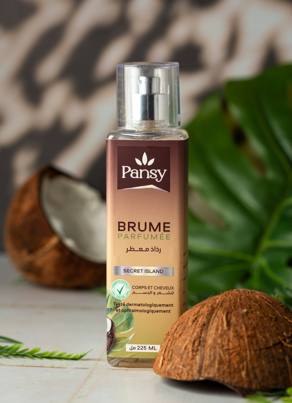 Secret Island brume